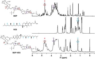 Bletilla striata polysaccharide-coated andrographolide nanomicelles for targeted drug delivery to enhance anti-colon cancer efficacy